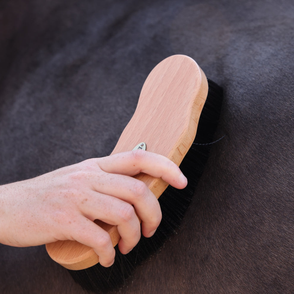 Horse Dandy Brush