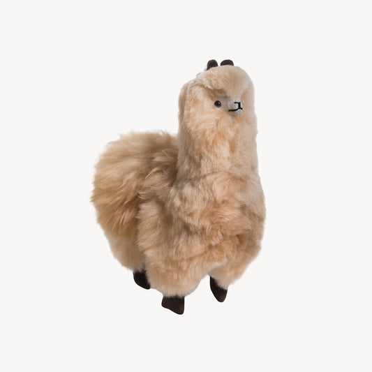 Alpaca Fluffy Animal