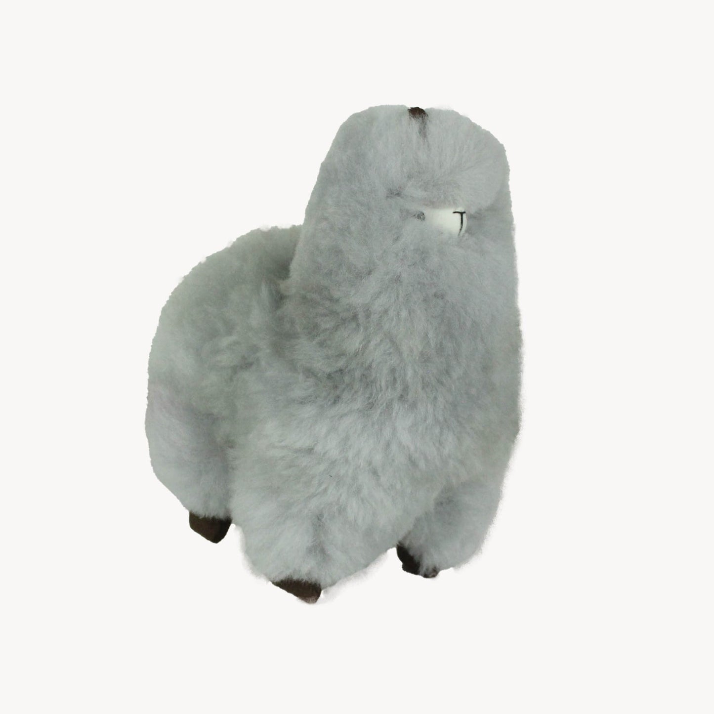 Alpaca Fluffy Animal