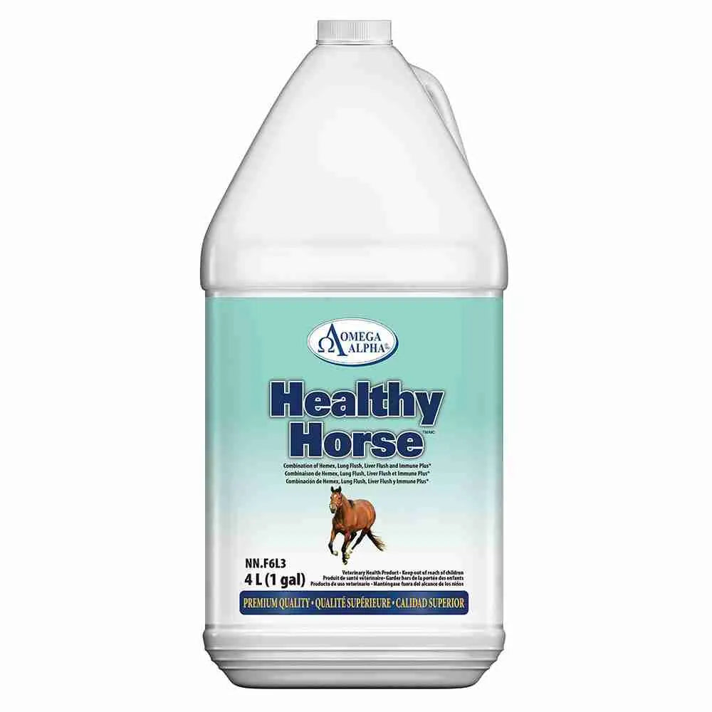 Healthy Horse