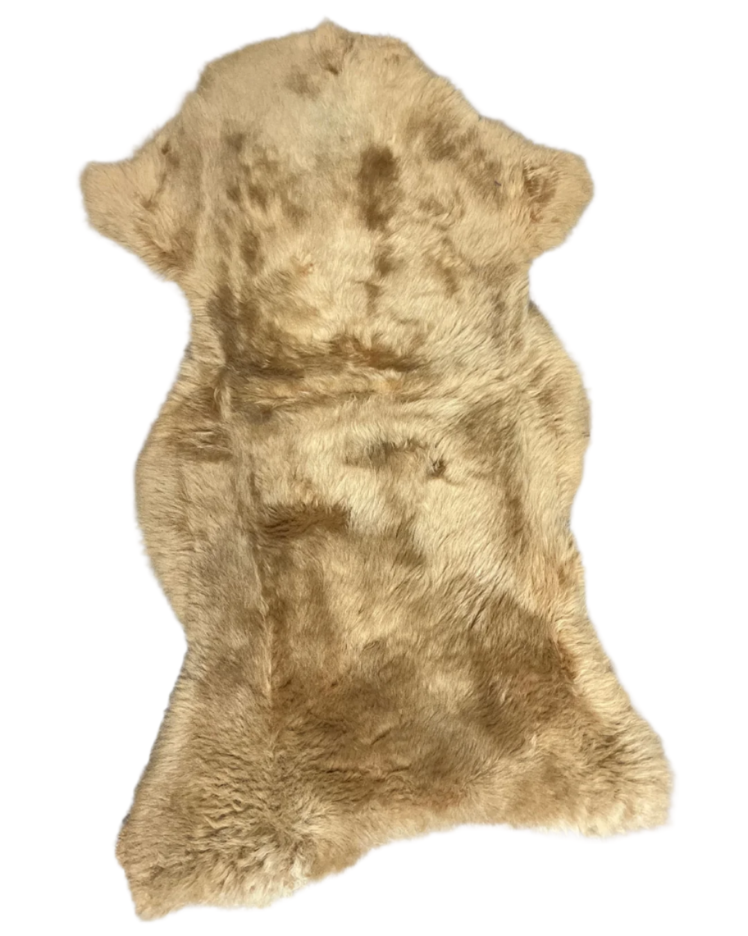 Sheepskins Shaggy Colour π
