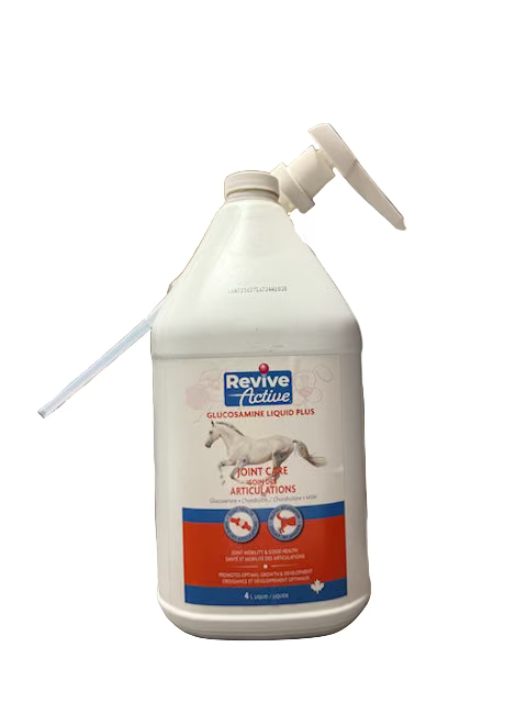 Glucosamine Liquid - Joint Care