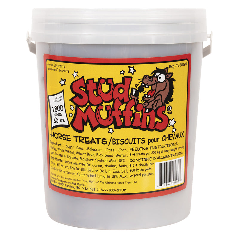 Horse Treat Stud Muffins