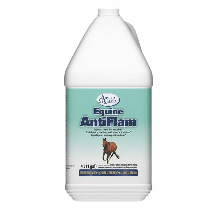 Equine AntiFlam