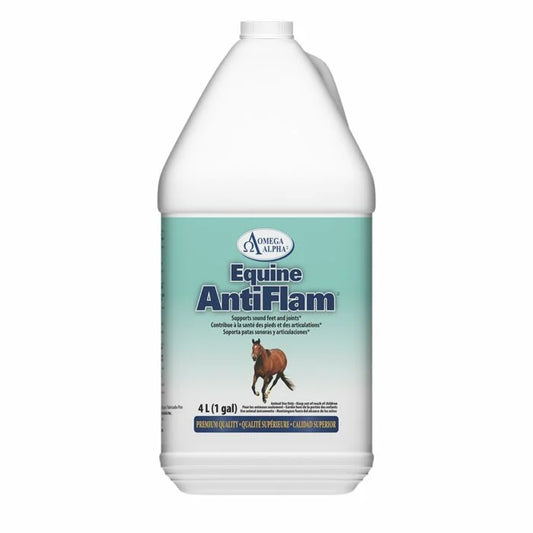 Equine AntiFlam