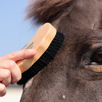 Horse Dandy Brush