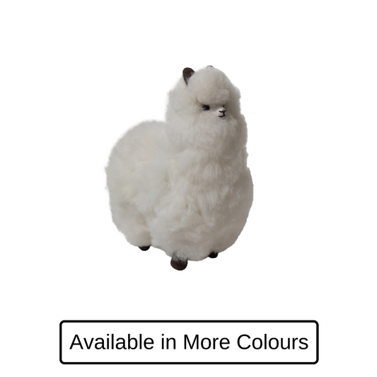 Alpaca Fluffy Animal