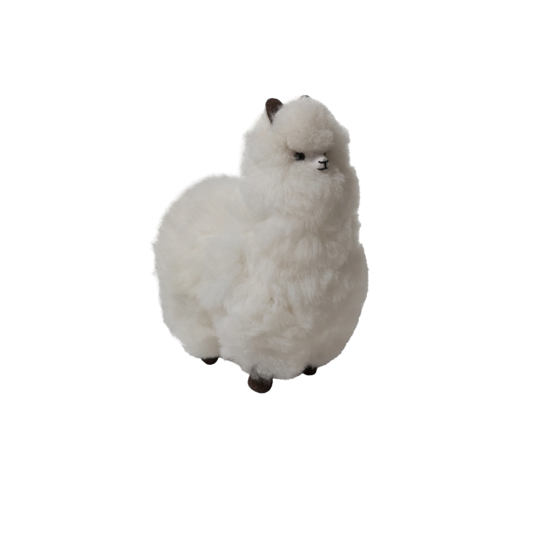 Alpaca Fluffy Animal