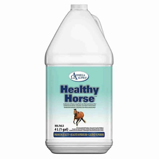 Healthy Horse