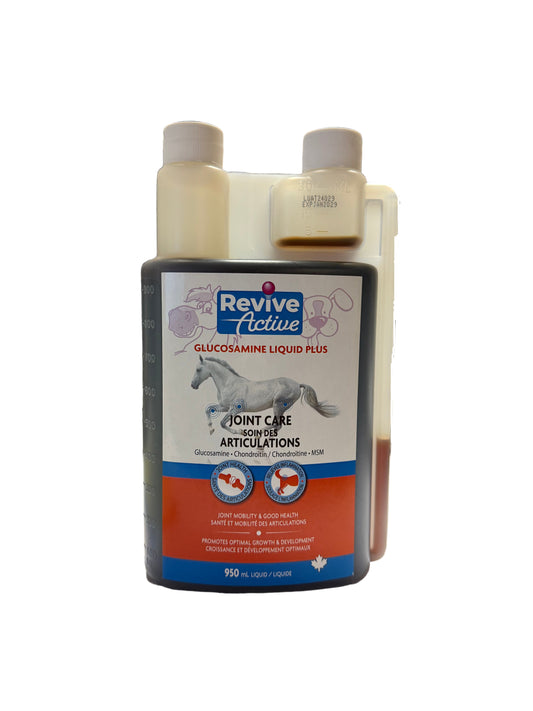 Glucosamine Liquid - Joint Care