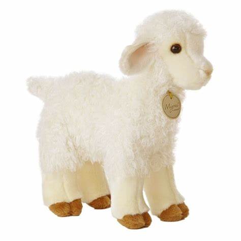 Lamb 2 Tone Brown