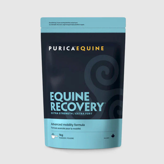 Equine Recovery