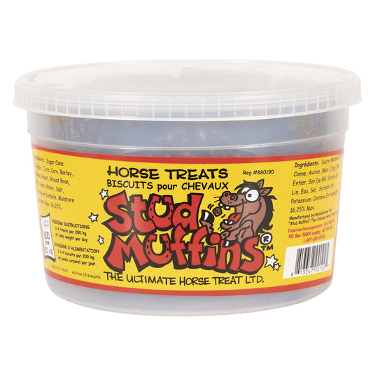 Horse Treat Stud Muffins
