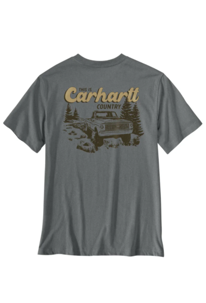 Carhartt Tee Graphic Back