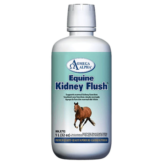 Equine Kidney Flush