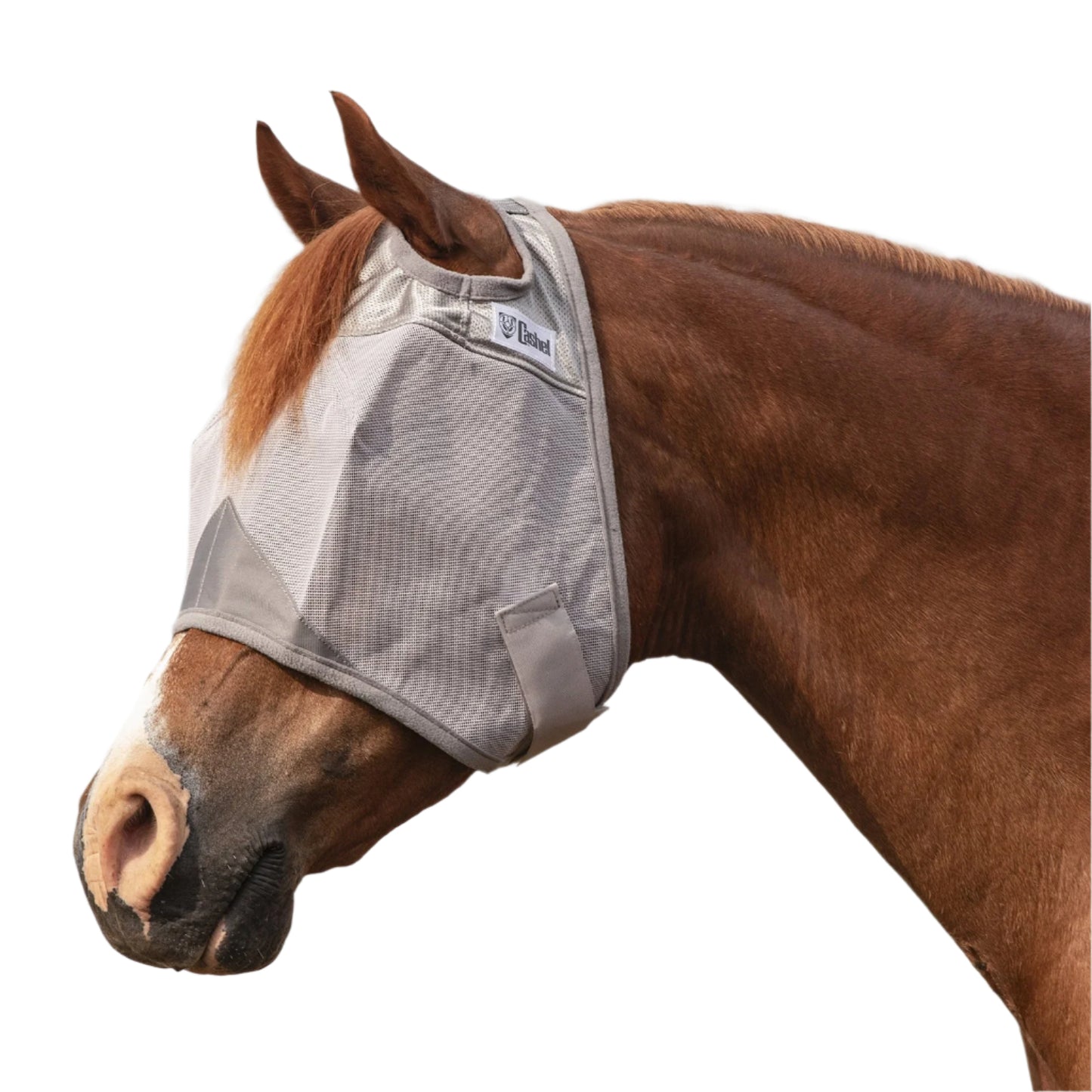 Horse Fly Mask Crusader Standard No Ears
