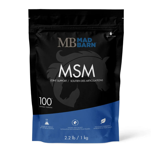 MSM Powder