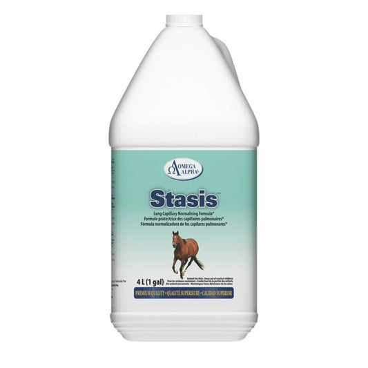 Stasis