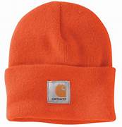 Carhartt Rib Cuff Logo Beanie